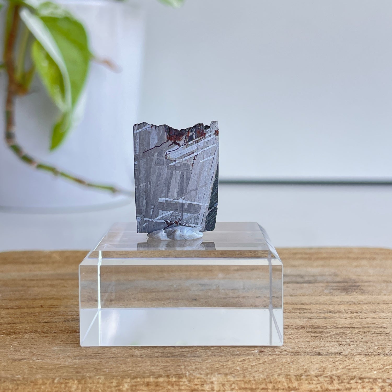 Muonionalusta Meteorite Slice 5.45g