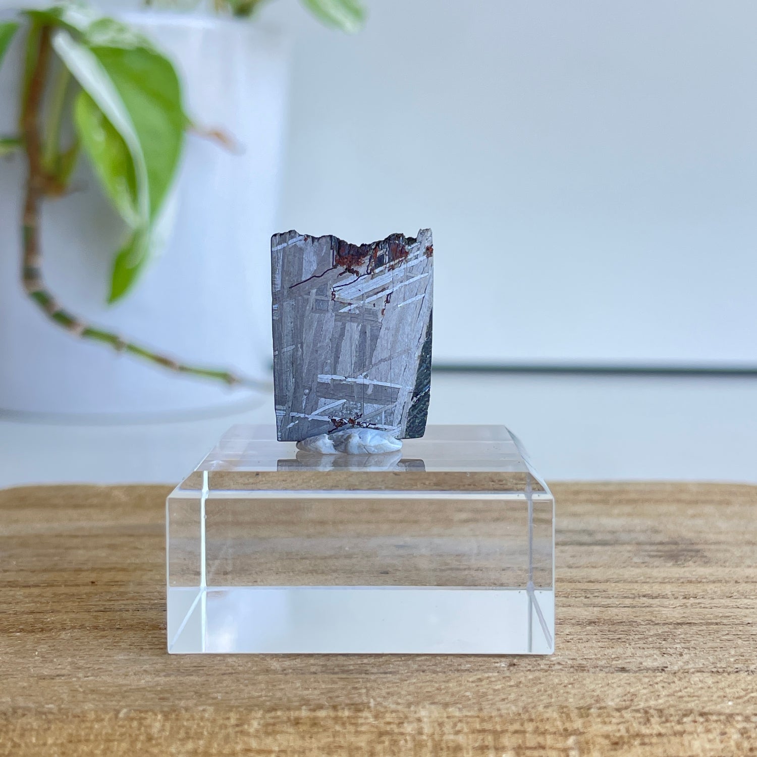 Muonionalusta Meteorite Slice 5.45g