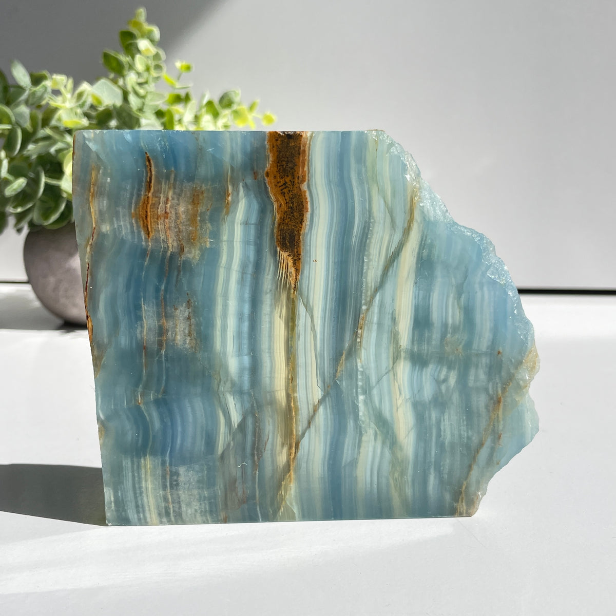 Blue Onyx Slice 246g