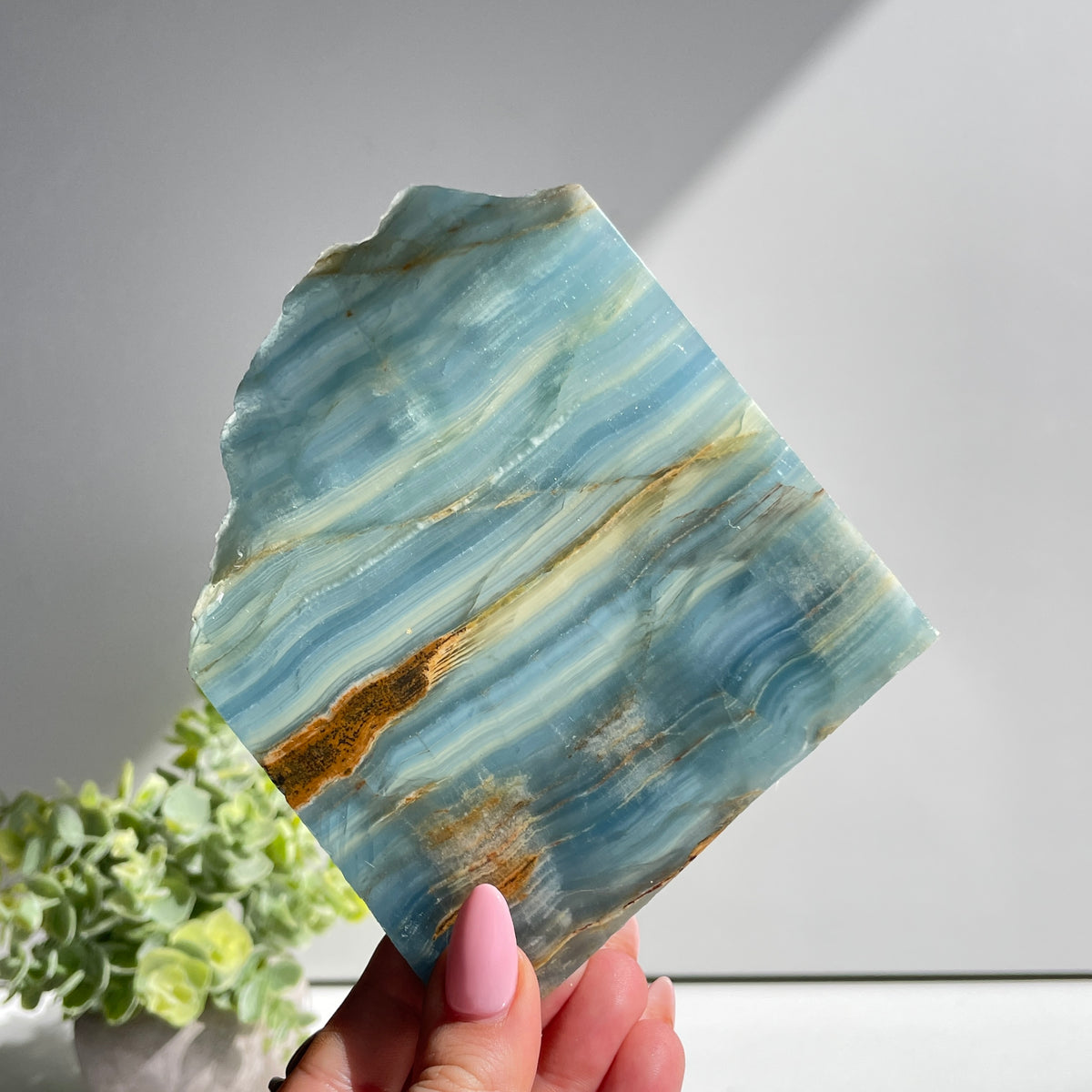Blue Onyx Slice 246g