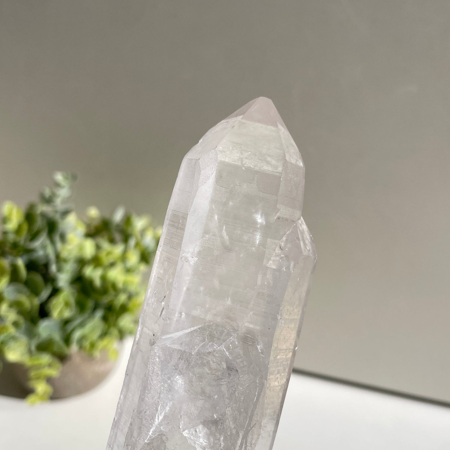 Lemurian Quartz Point 17.8cm