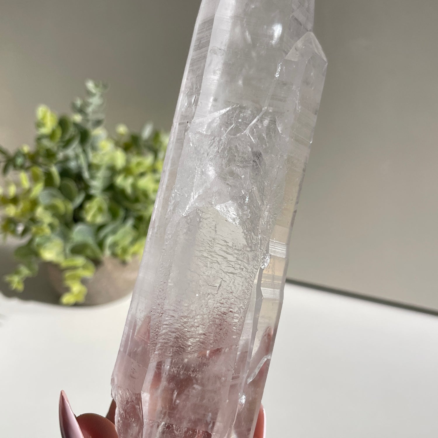 Lemurian Quartz Point 17.8cm