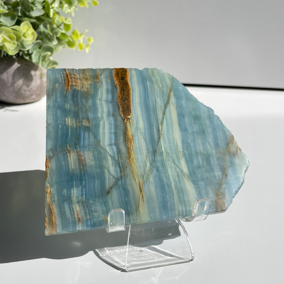 Blue Onyx Slice 218g