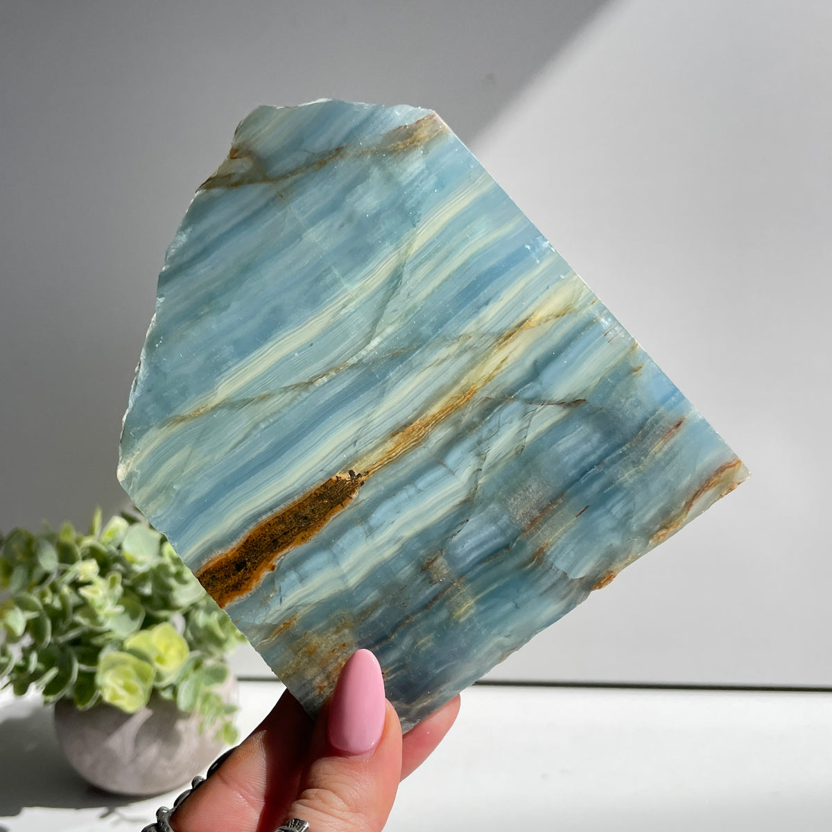 Blue Onyx Slice 218g