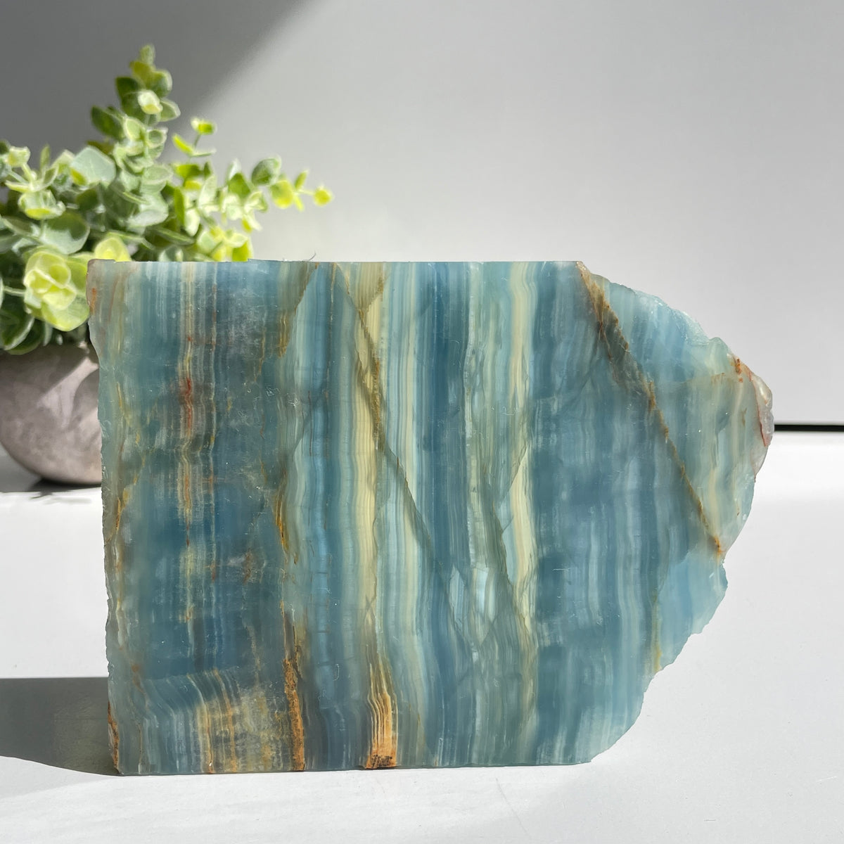 Blue Onyx Slice 374g