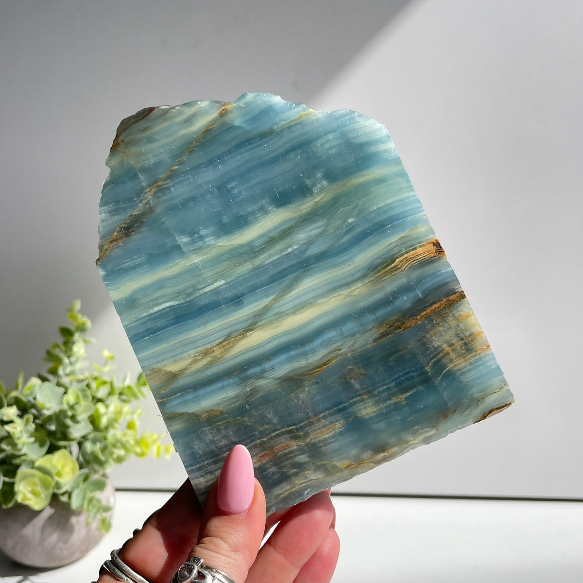 Blue Onyx Slice 374g