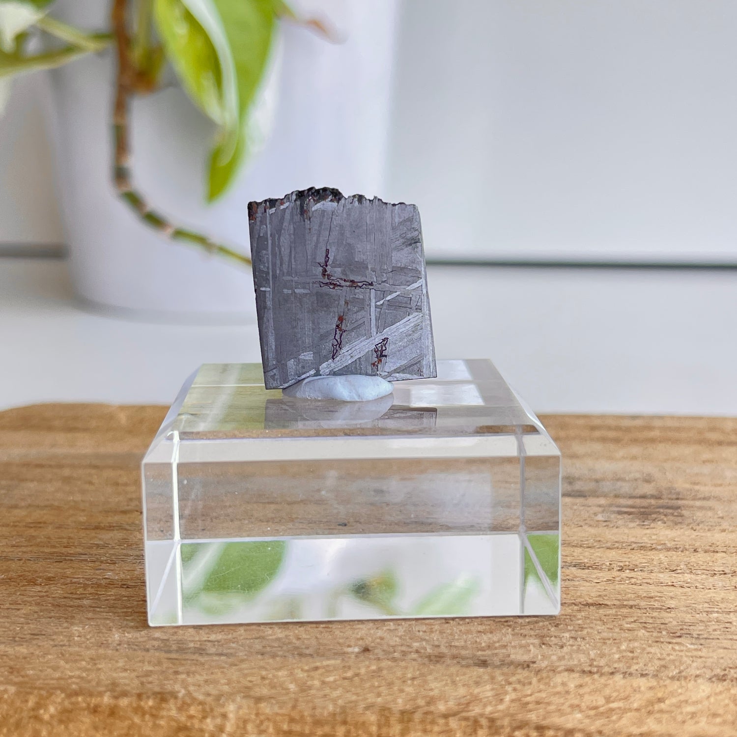 Muonionalusta Meteorite Slice 5.42g