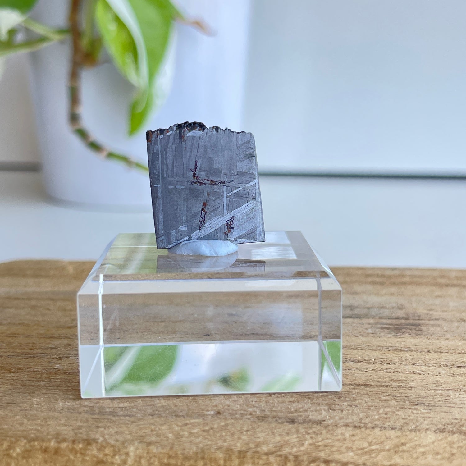 Muonionalusta Meteorite Slice 5.42g
