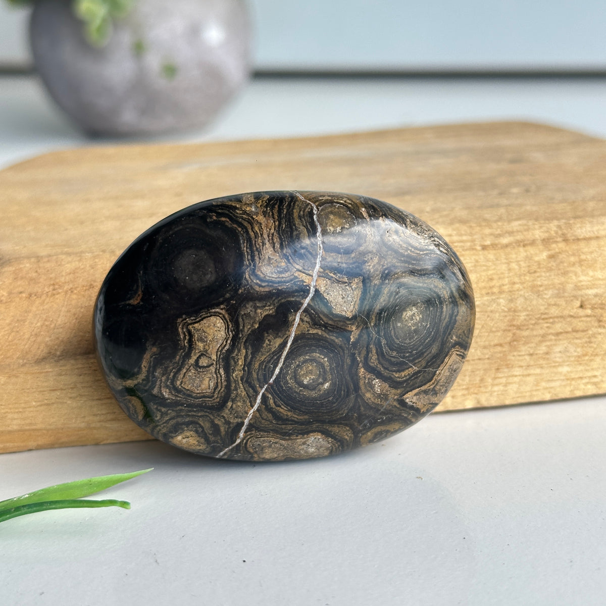 Stromatolite Palmstone 86g