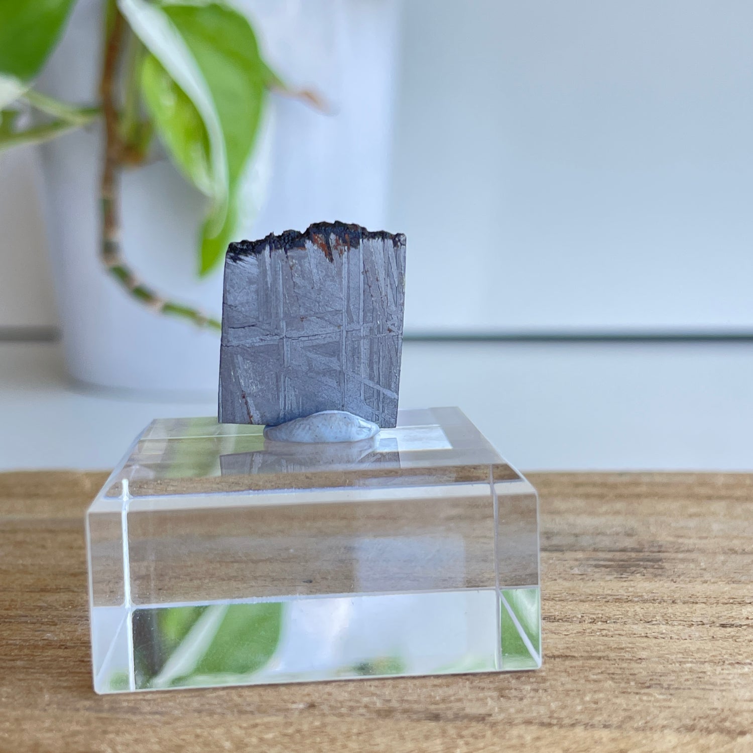 Muonionalusta Meteorite Slice 5.42g