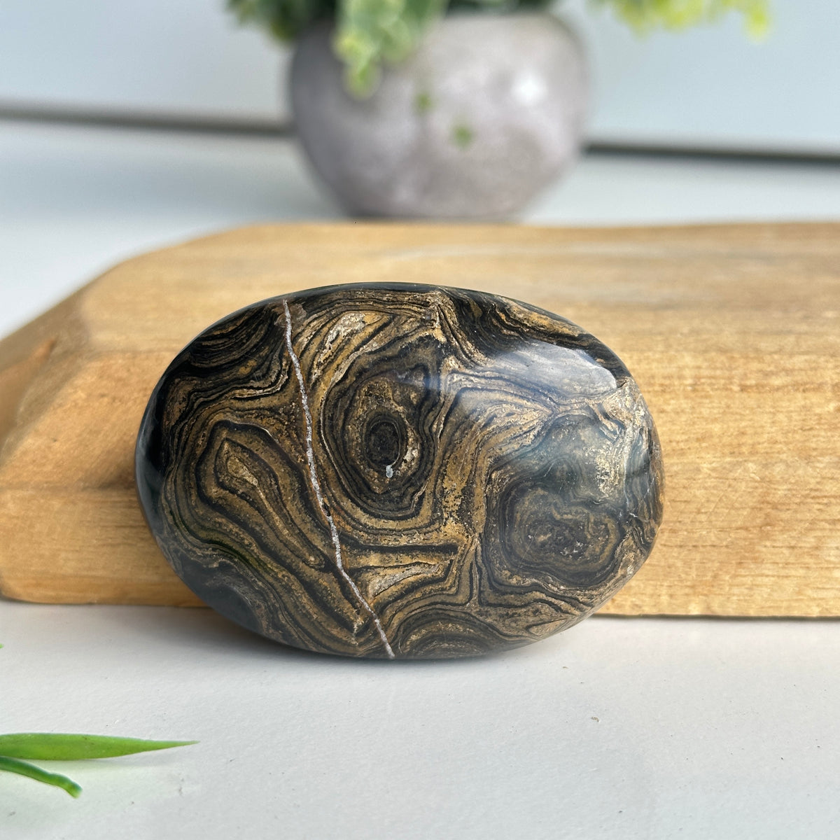 Stromatolite Palmstone 86g