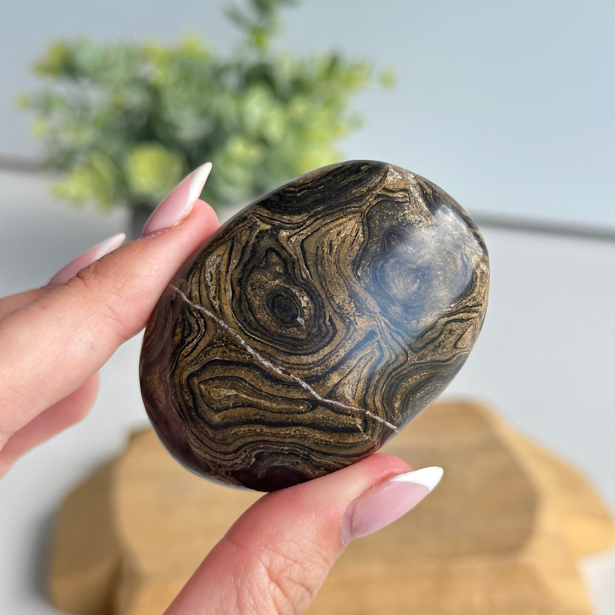 Stromatolite Palmstone 86g
