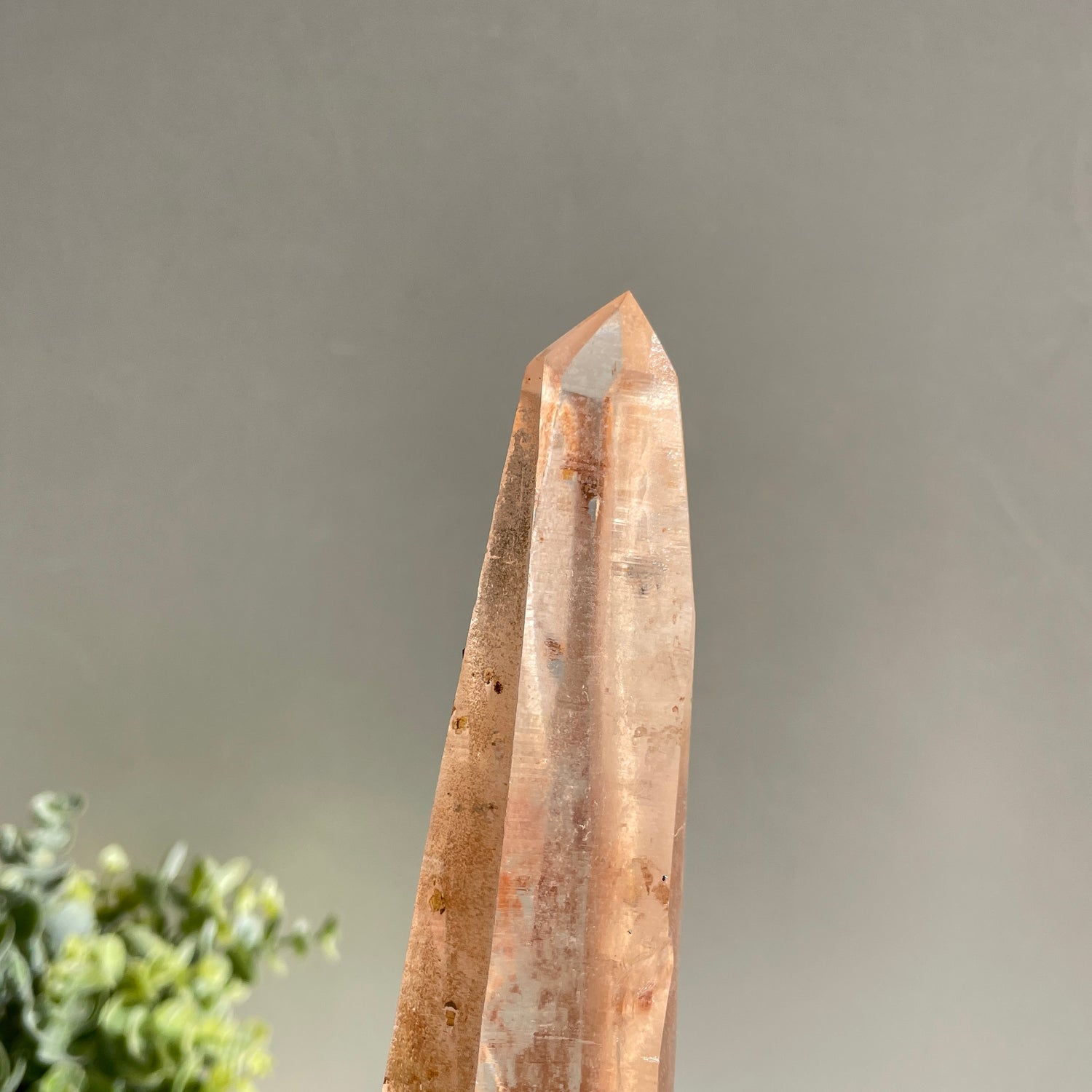 Pink Lemurian Point 29.9cm
