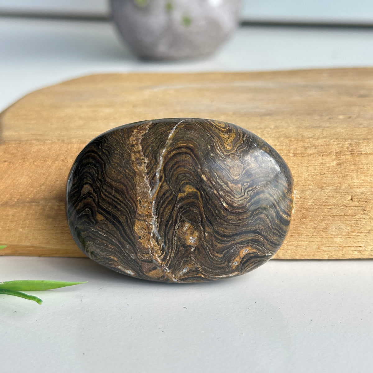 Stromatolite Palmstone 82g