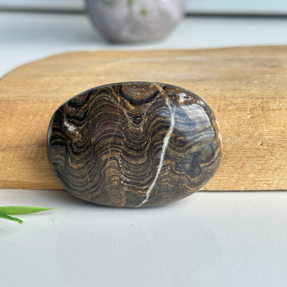 Stromatolite Palmstone 82g