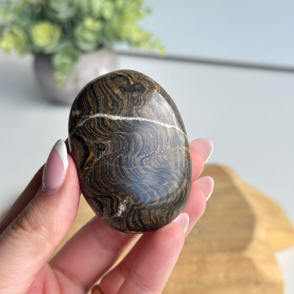 Stromatolite Palmstone 82g