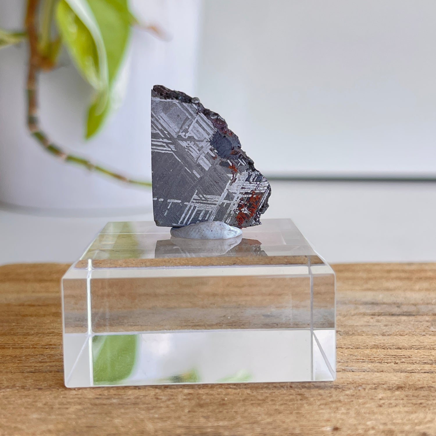 Muonionalusta Meteorite Slice 8.99g