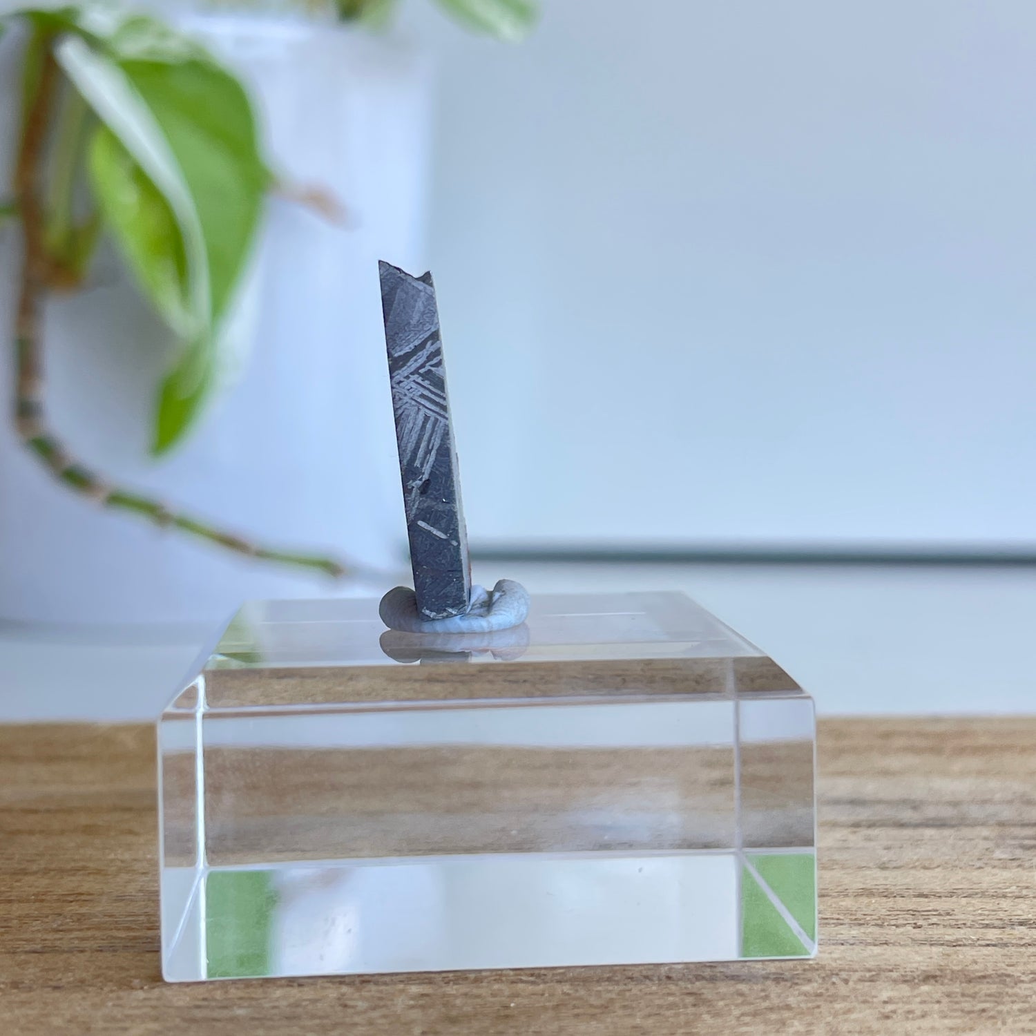 Muonionalusta Meteorite Slice 8.99g