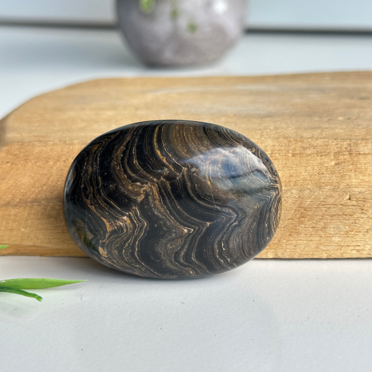 Stromatolite Palmstone 78g