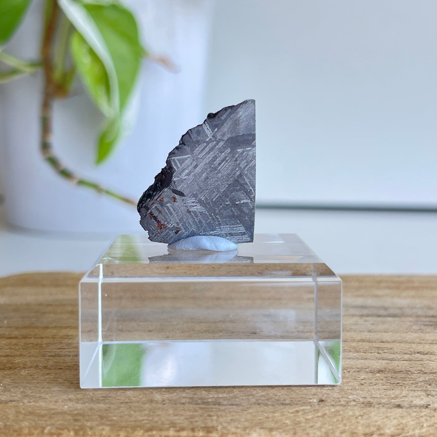 Muonionalusta Meteorite Slice 8.99g