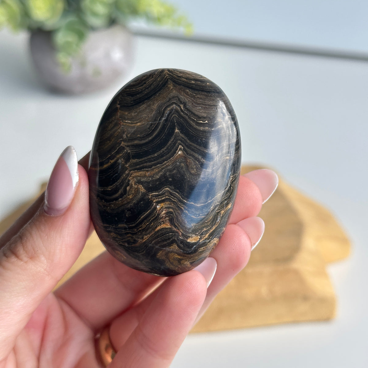 Stromatolite Palmstone 78g