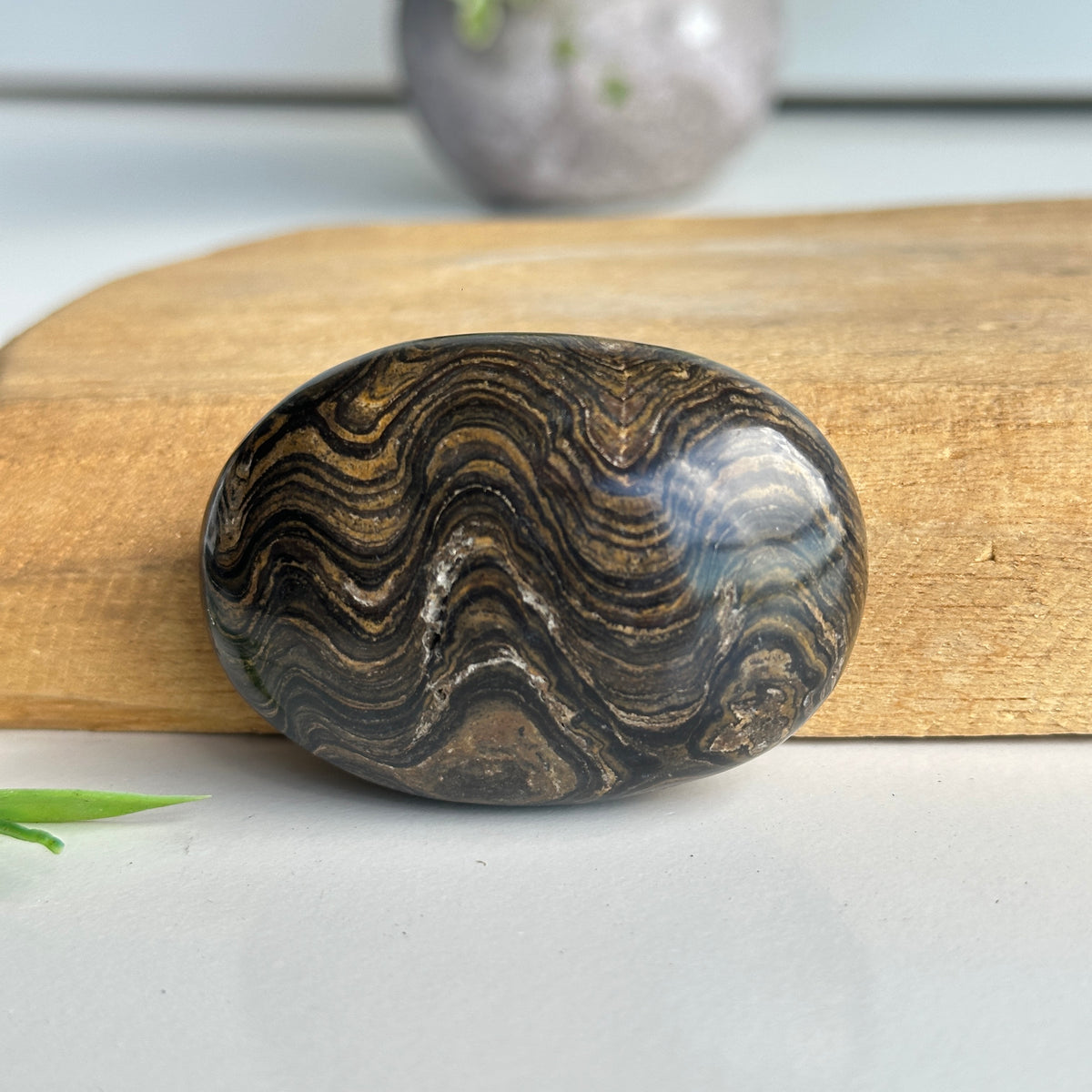 Stromatolite Palmstone 82g