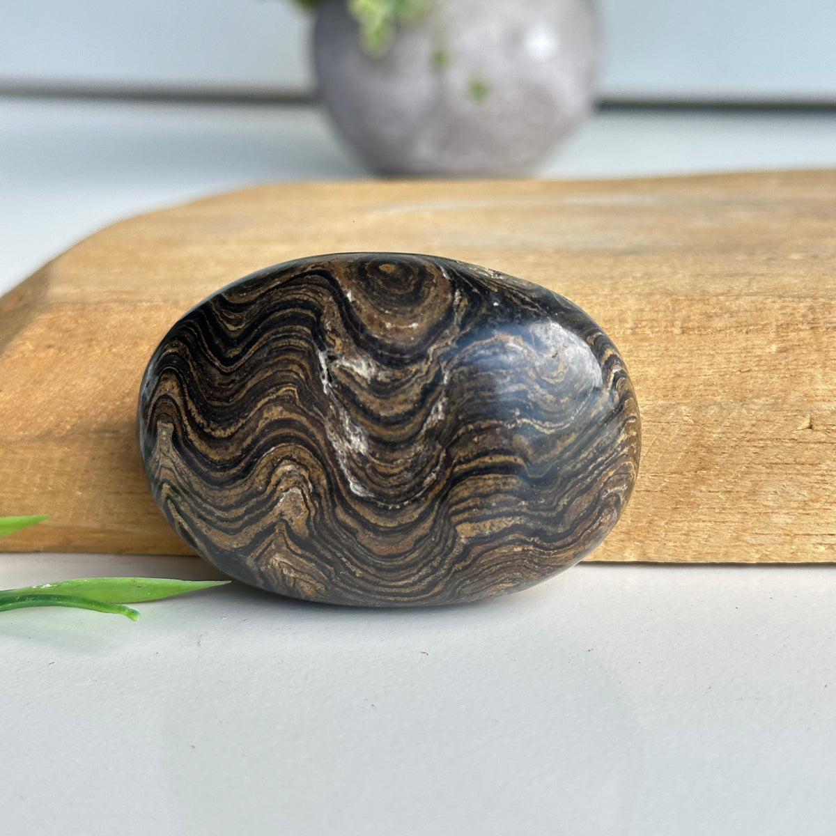 Stromatolite Palmstone 82g