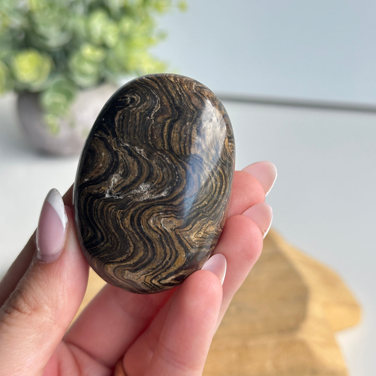 Stromatolite Palmstone 82g