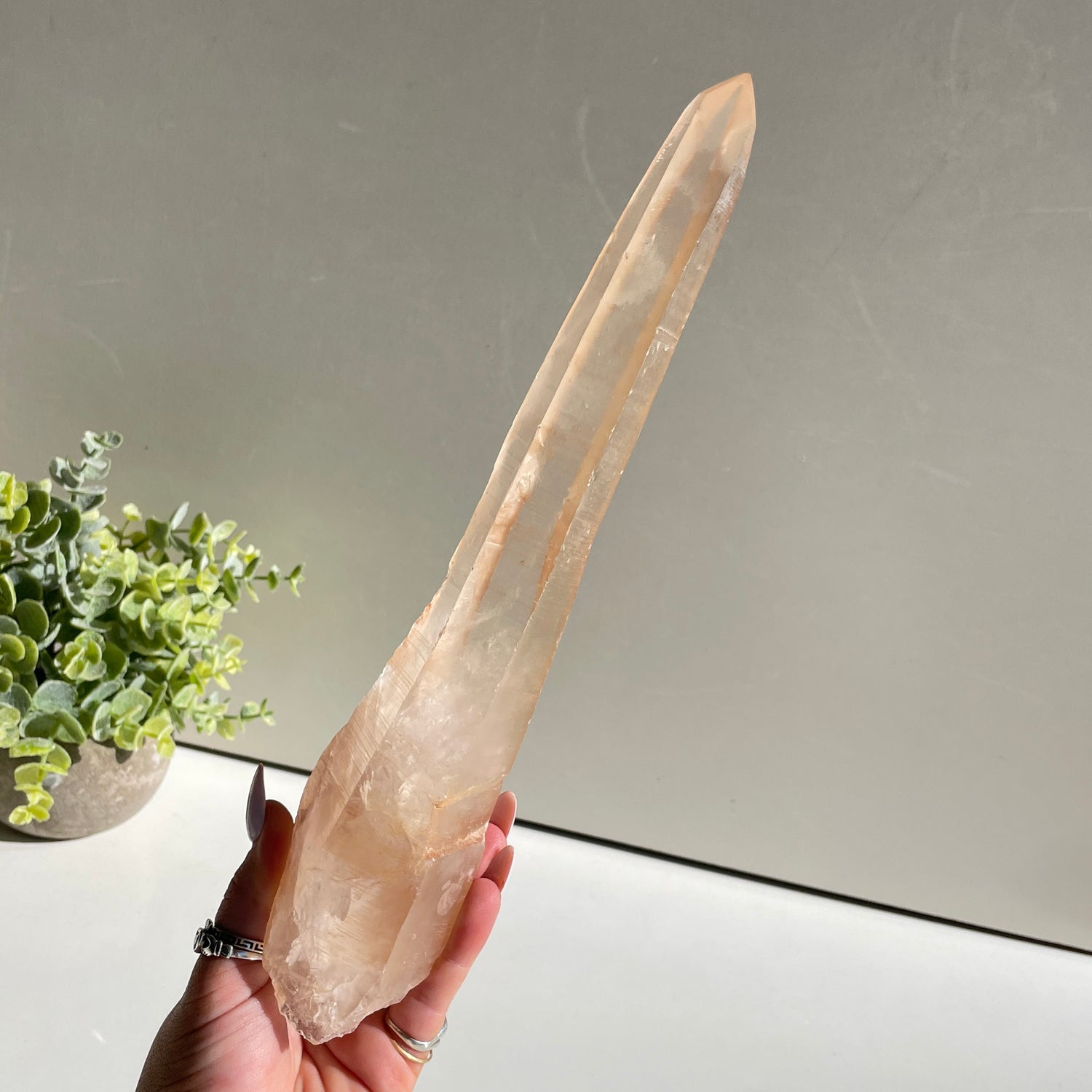 Pink Lemurian Point 27.7cm