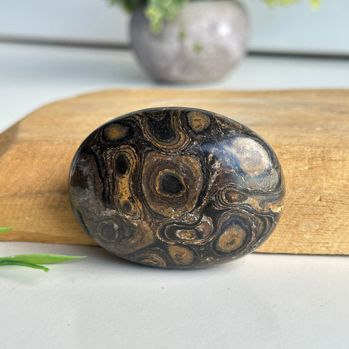 Stromatolite Palmstone 100g