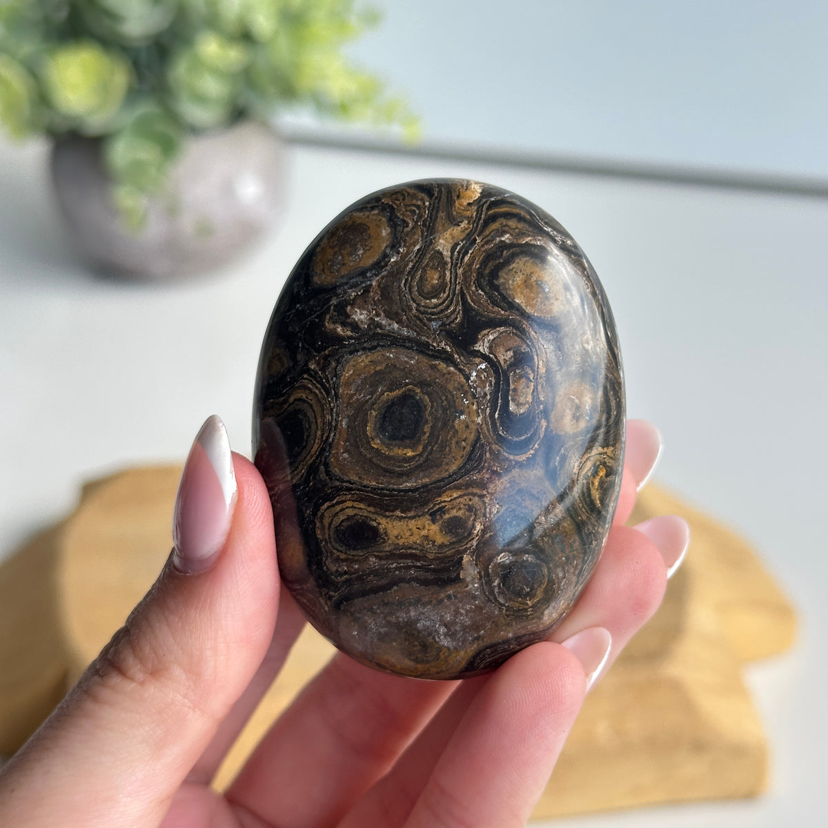 Stromatolite Palmstone 100g