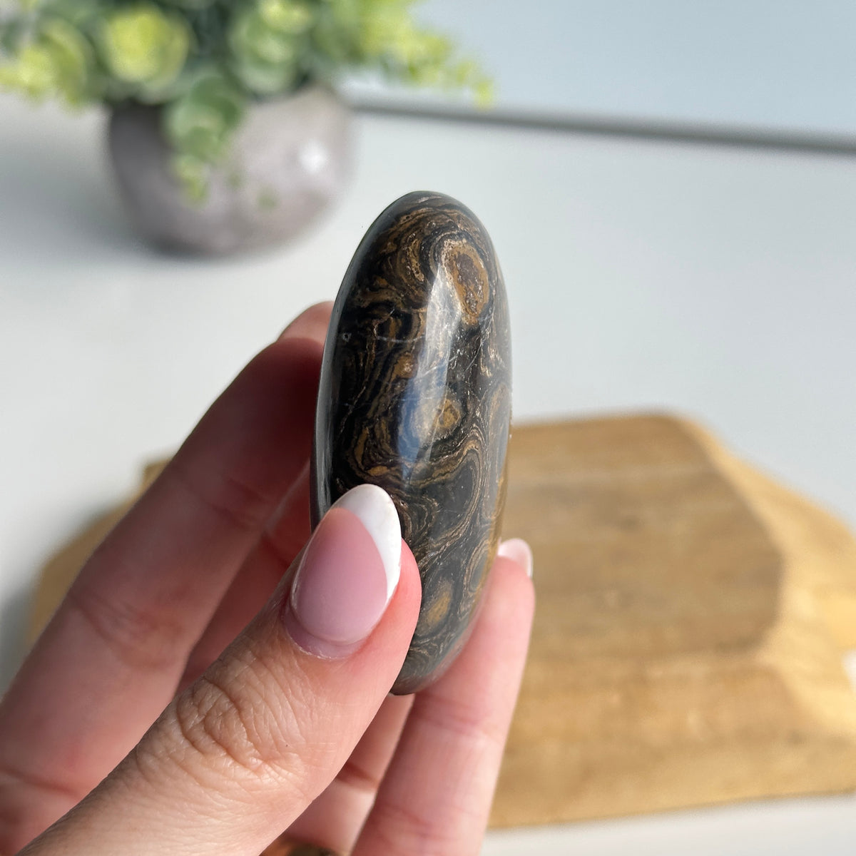 Stromatolite Palmstone 100g