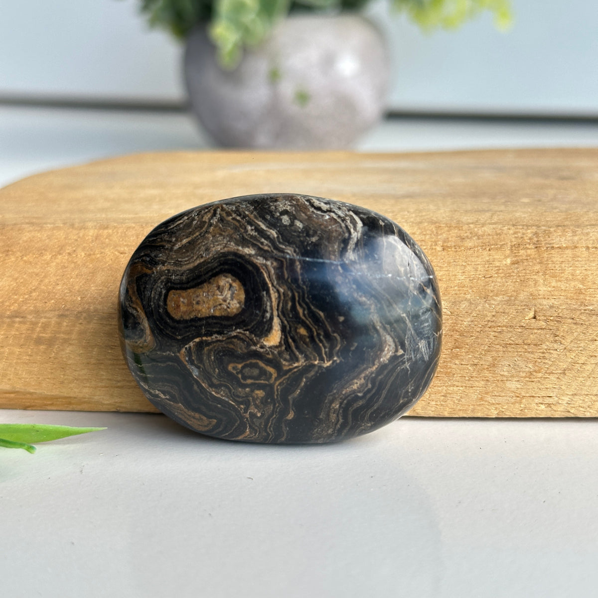 Stromatolite Palmstone 62g