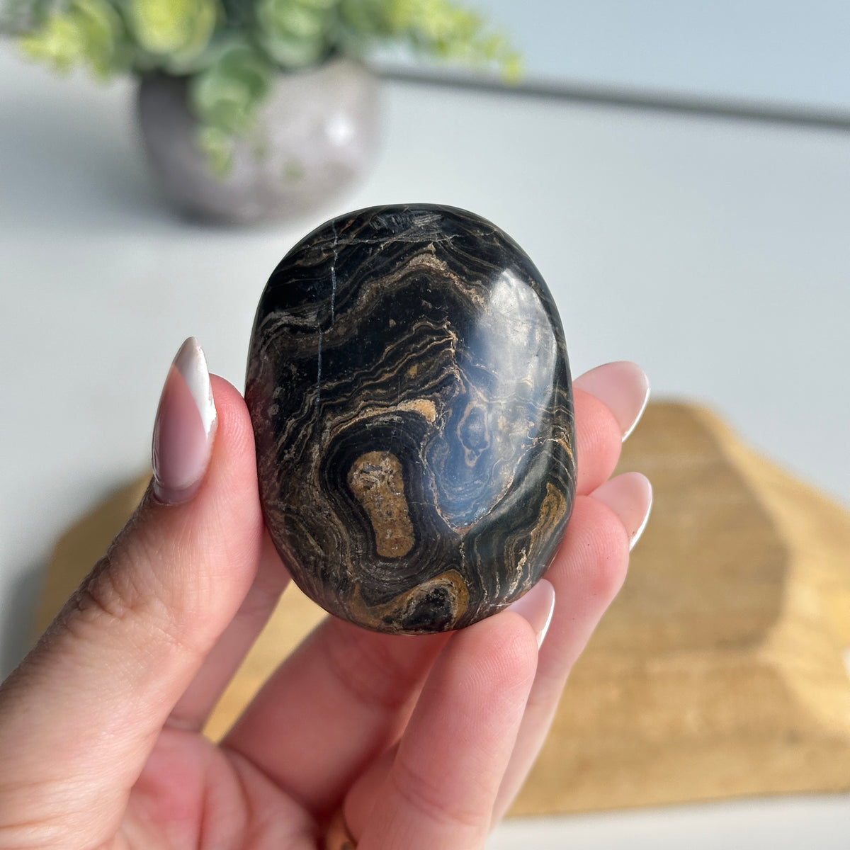 Stromatolite Palmstone 62g