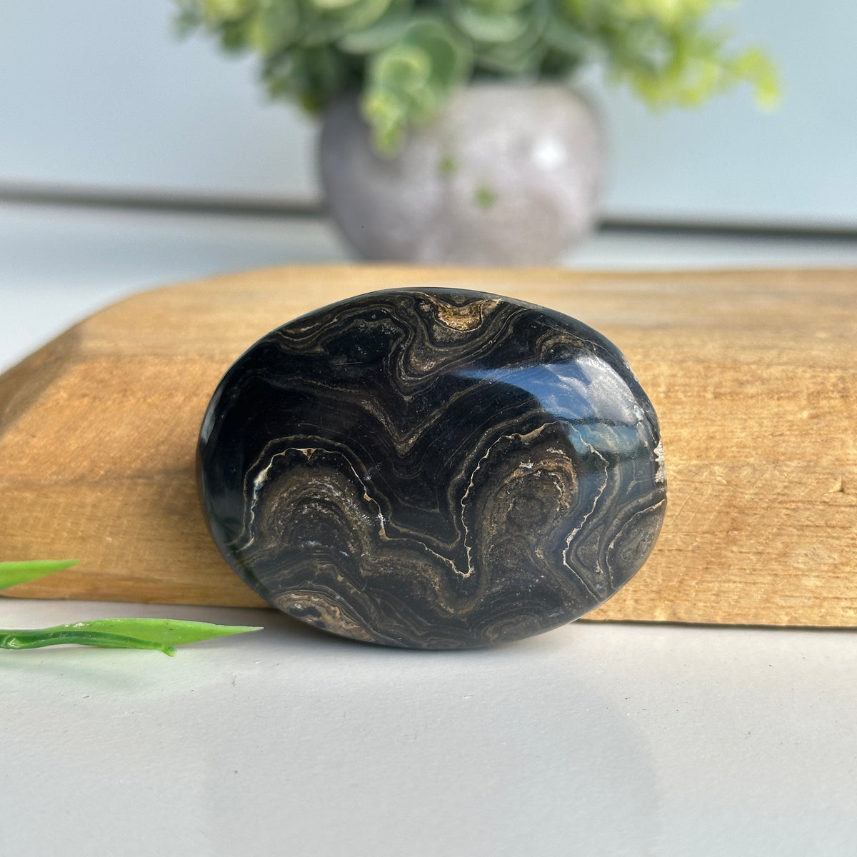 Stromatolite Palmstone 70g