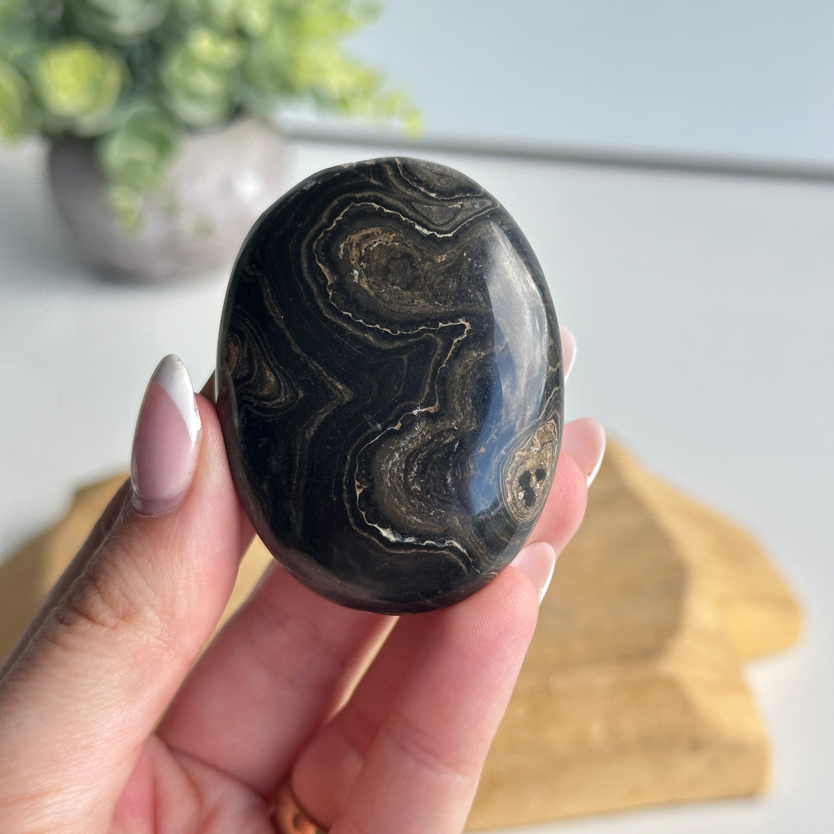 Stromatolite Palmstone 70g