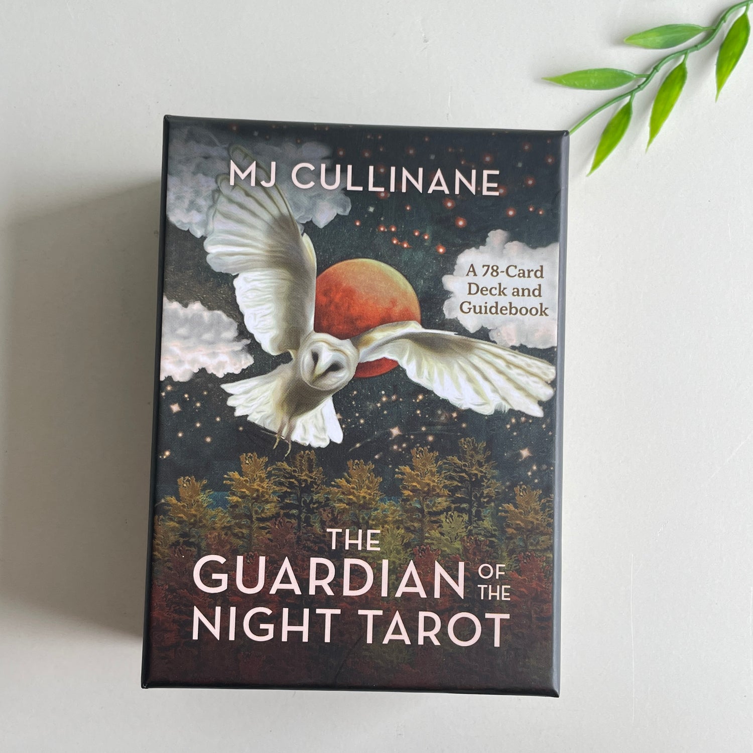 The Guardian Of The Night Tarot MJ Cullinane