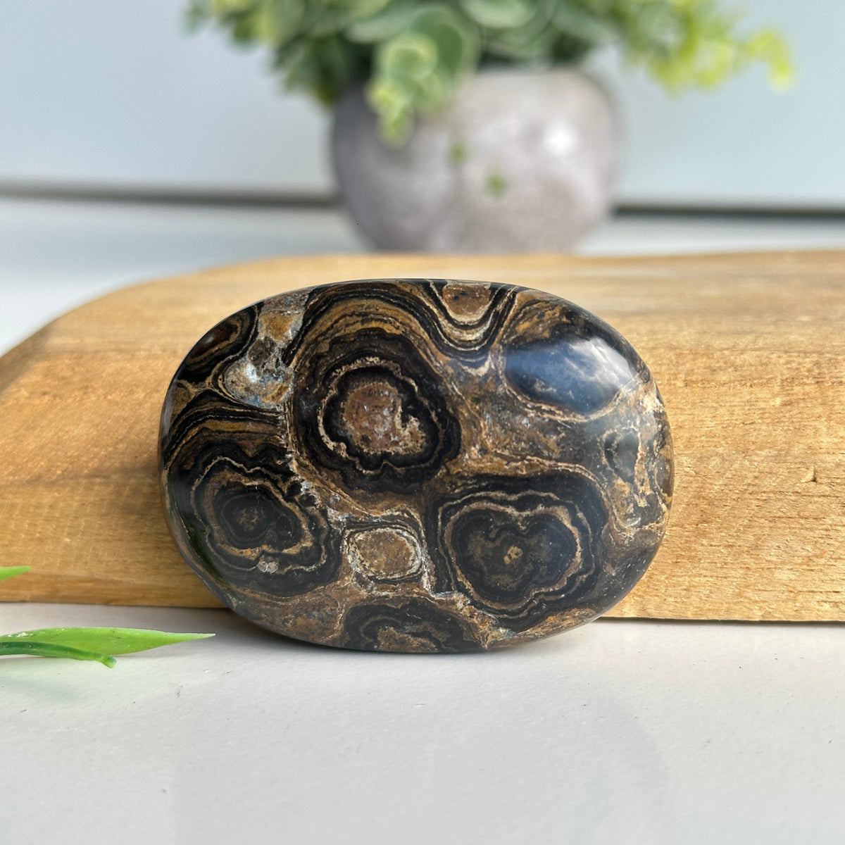 Stromatolite Palmstone 70g