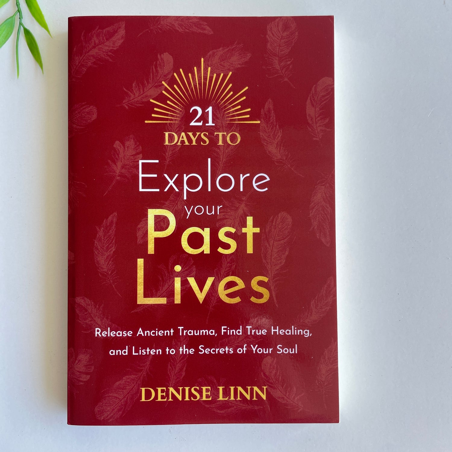 21 Days To Explore Past Lives Denise Linn