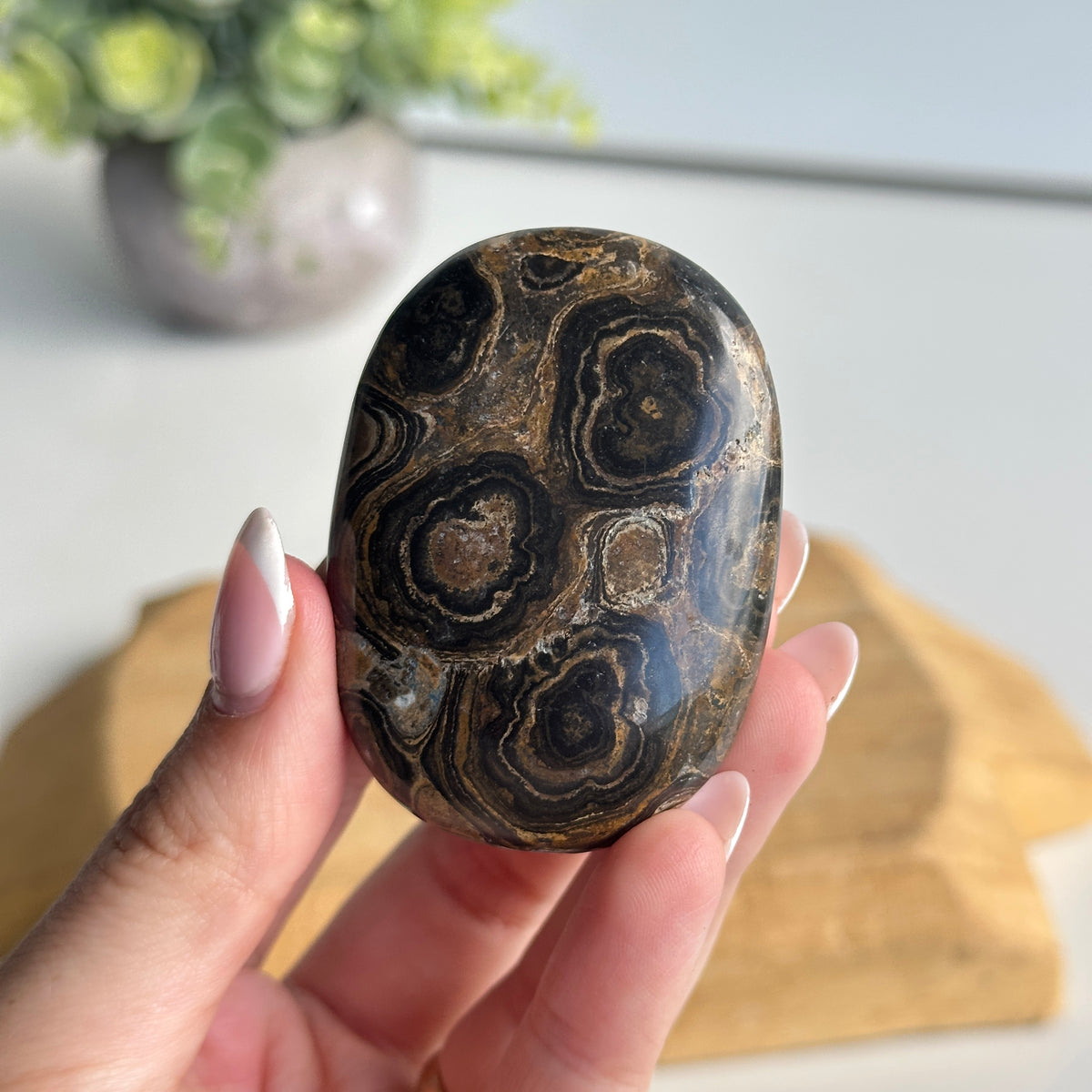 Stromatolite Palmstone 70g