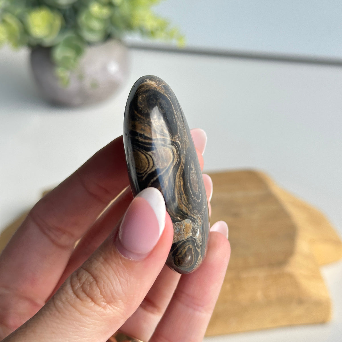 Stromatolite Palmstone 70g