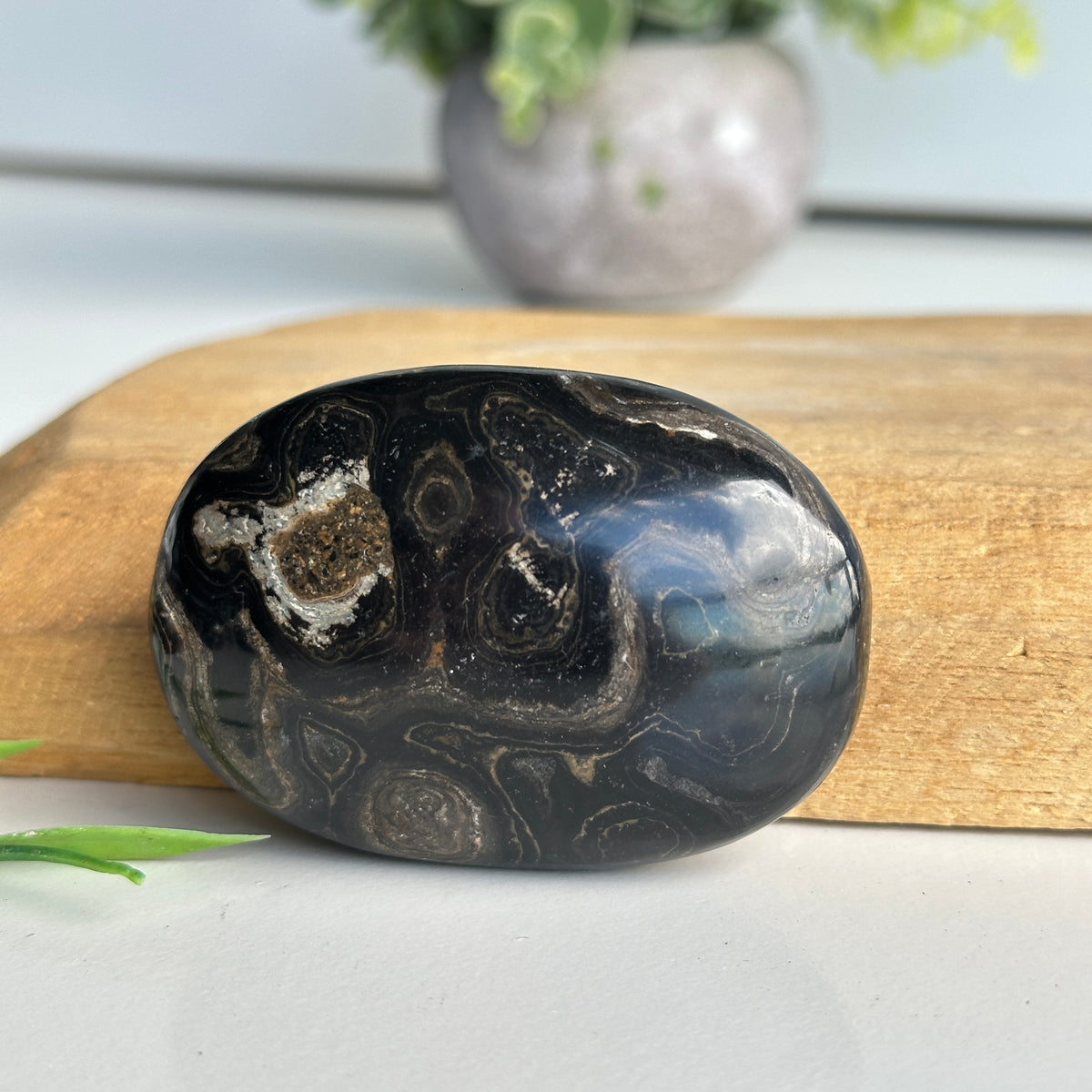 Stromatolite Palmstone 102g