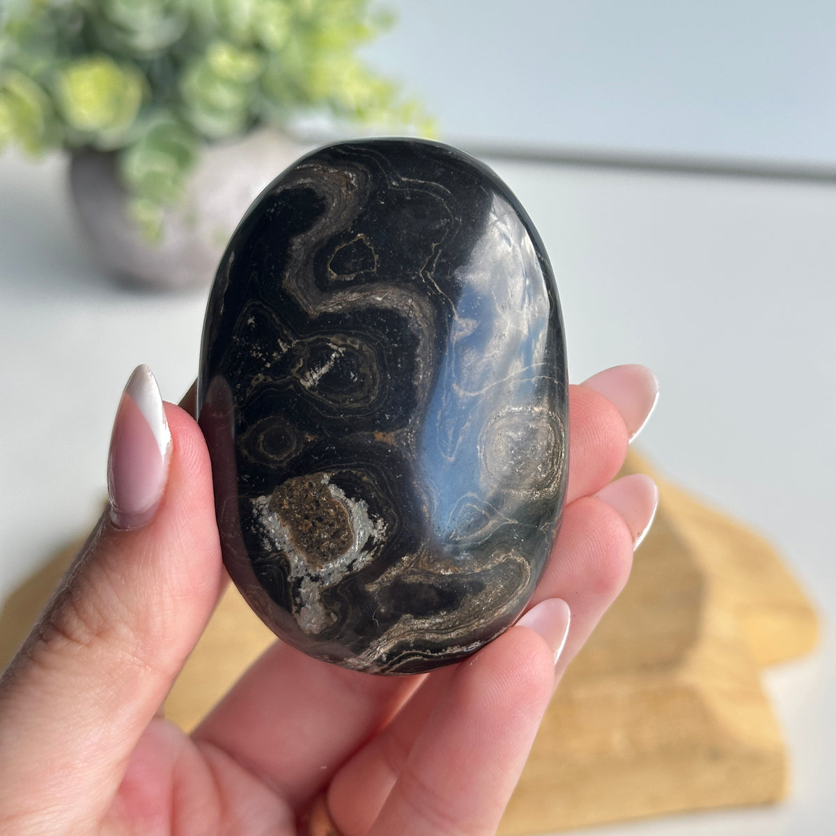 Stromatolite Palmstone 102g