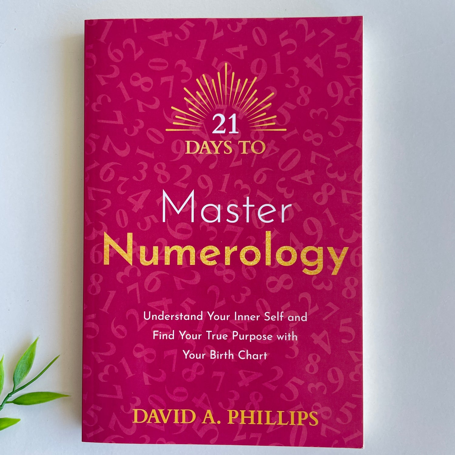 21 Days To Understand Numerology David Phillips