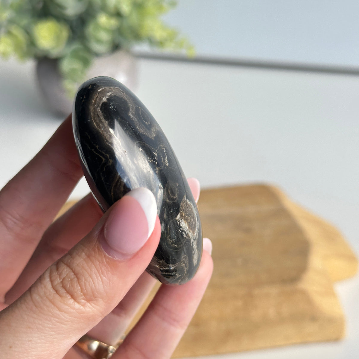 Stromatolite Palmstone 102g