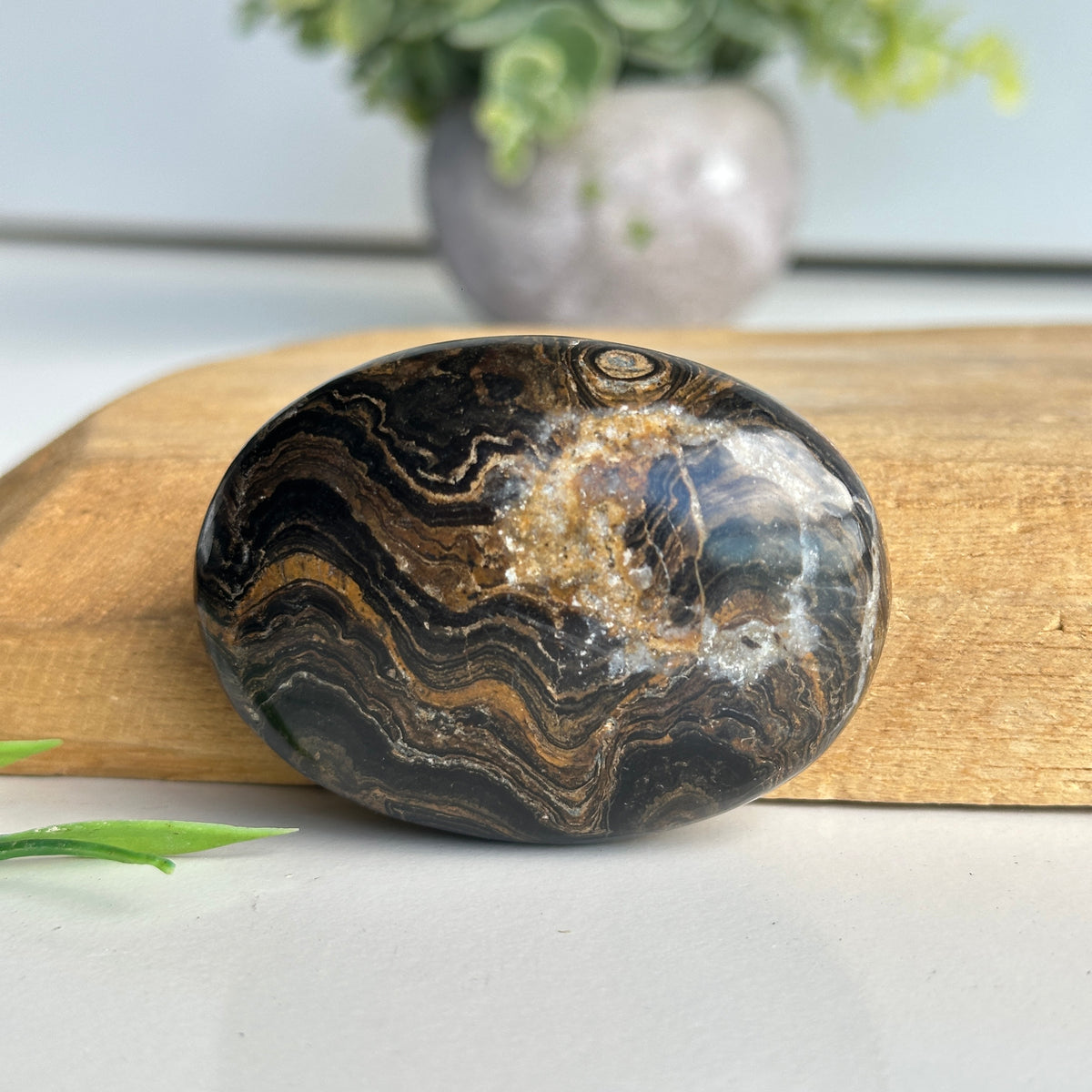 Stromatolite Palmstone 92g