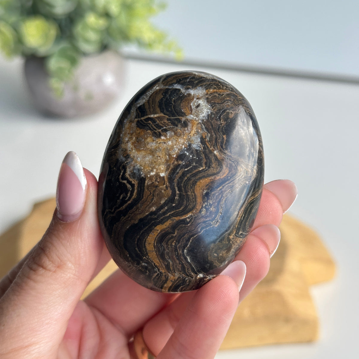 Stromatolite Palmstone 92g