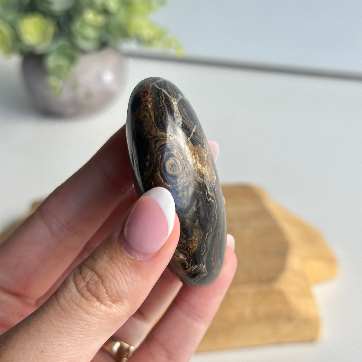Stromatolite Palmstone 92g