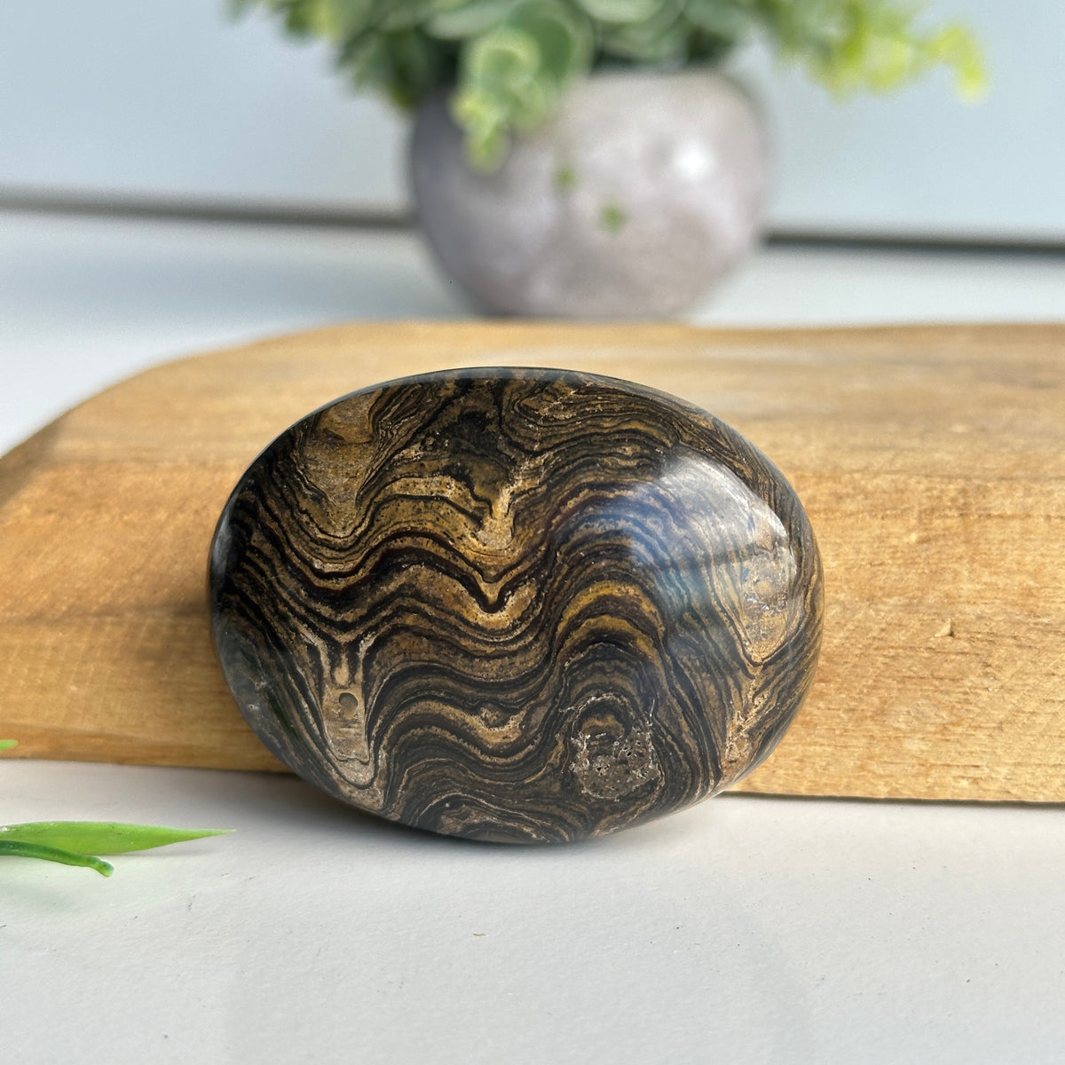Stromatolite Palmstone 98g