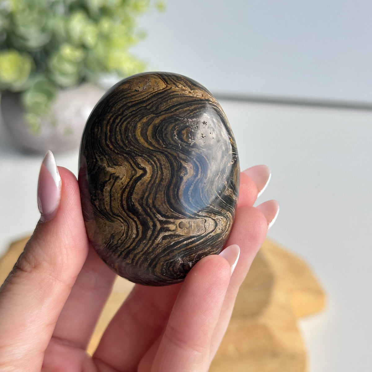 Stromatolite Palmstone 98g